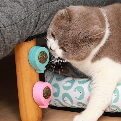 Interactive Cat Wall Toy: Natural Catnip Treats, Hairball Relief, Digestion Support, and Cat Grass Snack