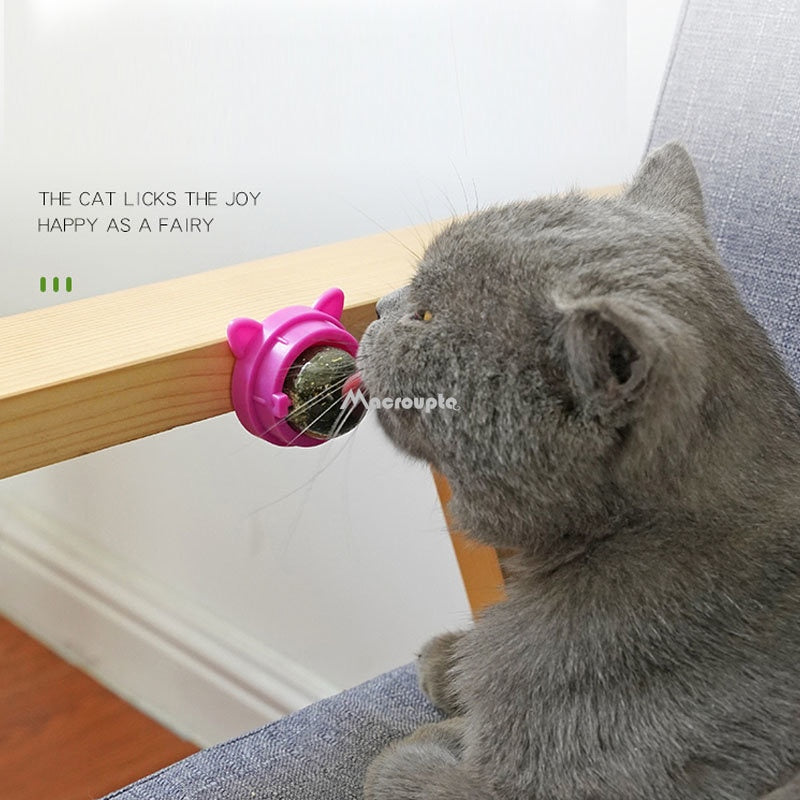 Interactive Cat Wall Toy: Natural Catnip Treats, Hairball Relief, Digestion Support, and Cat Grass Snack